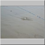 Purkarec 6.11.2008-25.JPG